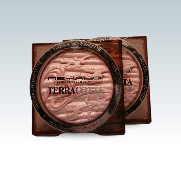 MSYAHO Professional Makeup Terracotta Highlighter Palette - Image 4